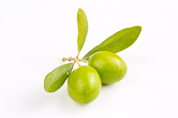 Green fresh olive on the white background