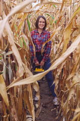 Fototapeta na wymiar Young woman farmer with bucket of corn harvest. Worker holding autumn corncobs. Farming and gardening