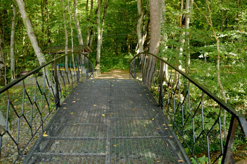 Naklejka premium Walking path on the iron bridge through the forest strewn with many paths. Small iron bridge with railings in the forest.