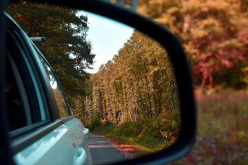The autumn forest is reflected in the side mirror of the car. Bright, multi-colored leaves adorn...