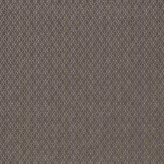 Fototapeta premium Metallic Champagne Gold Pattern on Leather Texture Background, Digital Paper
