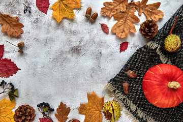 Autumn, fall or halloween composition made of dried leaves, pumpkin, pine cones, acorns, warm scarf and hand with cup of coffee on concrete background. Template mockup blank notebook with copy space.