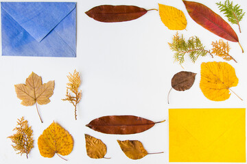 Fototapeta na wymiar Autumn and fall colorful leaves and envelope on the white background, autumn nature background