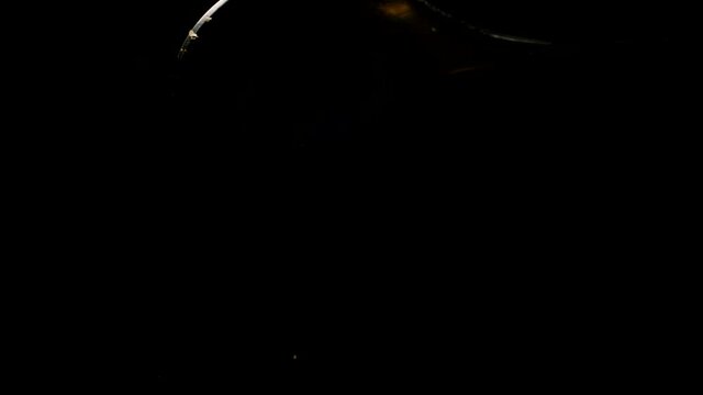 seasoning or spice falling down from teaspoon isolated on black background. The seasoning process slow motion. Natural products to strengthen immunity and health. Proper nutrition, healthy lifestyle
