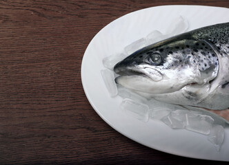 Salmon fish on ice on a white platter. Wooden table. Top view