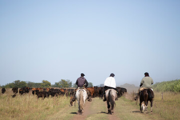 hombres trabajando a caballo