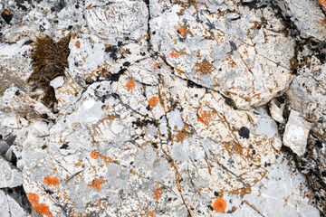 Rock texture background. Stone overgrown yellow and black moss. Close-up. Selective focus