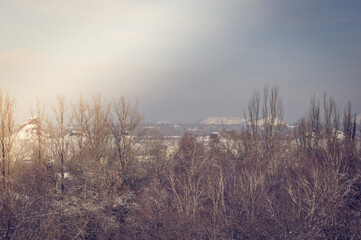 Winter urban frosty landscape - snow covered trees on foggy background