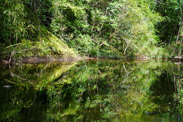 grass and water