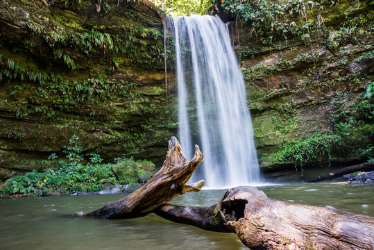 waterfall in the forest