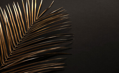 Closeup of golden palm leaves on black background. Copy space.  Flat lay.  Luxury  invitation card...