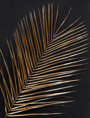 Closeup of golden palm leaves on black background. Flat lay.