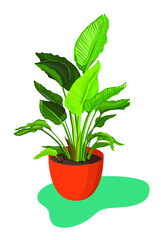 Indoor Home Big Green Plant in the orange pot. Vector illustration on the white bakground. Bird of Paradise Flower
