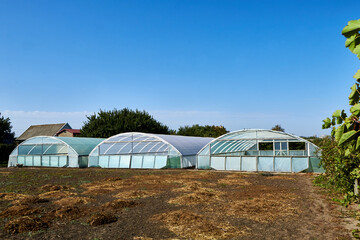 greenhouse with a greenhouse