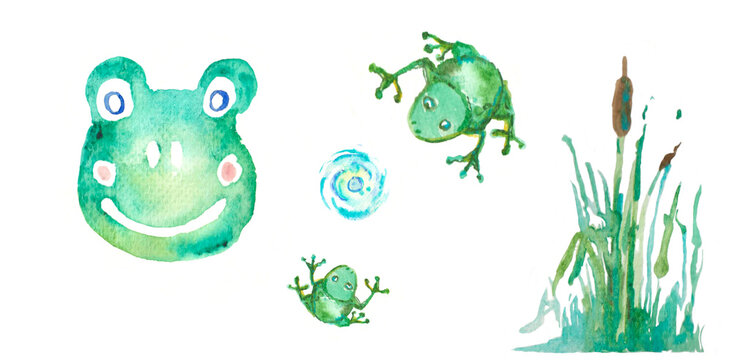 Set frog and reed watercolor natural