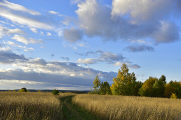 Fototapeta na wymiar Field road in the autumn field. Sunny autumn in the foothills of the Western Urals.