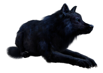 Fototapeta premium 3D Rendering Black Wolf on White