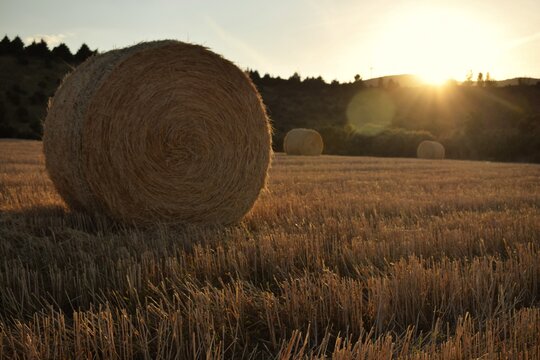Atardecer en un campo de trigo con sus balas de paja