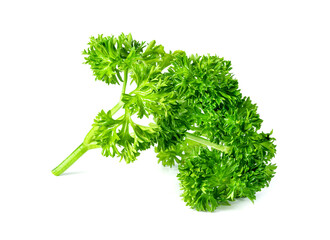 Parsley leaf or Petroselinum crispum leaves isolated on white background ,Green leaves pattern