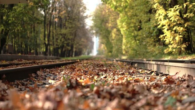 abandoned tram railway in an exotic location in autumn