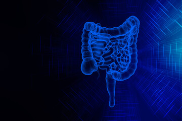 3D illustration of human Large Intestine
