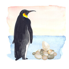 Watercolor emperor penguin with a nest. Perfect for printing, textile, web design, souvenirs, photo albums, scrapbooking and many other creative ideas.