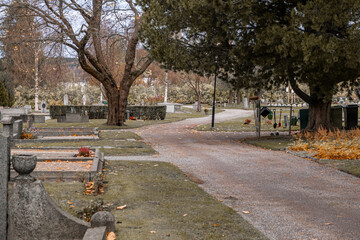 Down the path in the cemetery