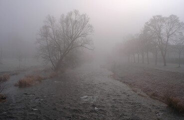 Obraz na płótnie Canvas foggy morning by the river