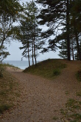 Schwedische Landschaft mit See