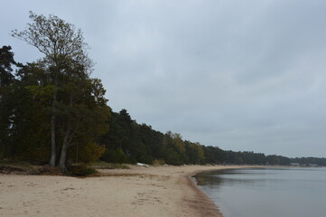 Schwedische Landschaft mit See