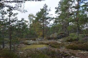 Schwedische Landschaft