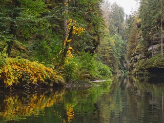 Autumn in the gorge of the river Kamenice, Bohemian Switzerland National Park, Czech Republic