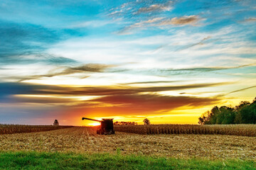 Corn Picker in the first light of day as it sits in a corn field. - obrazy, fototapety, plakaty
