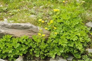 Val Thorens - France