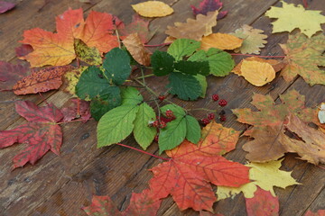 Bright autumn leaves lie on wooden boards