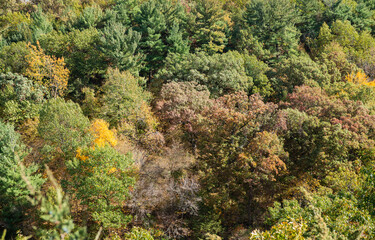 Autumn in Starved Rock State Park, a wilderness area on the Illinois River.  Back to Nature concept.