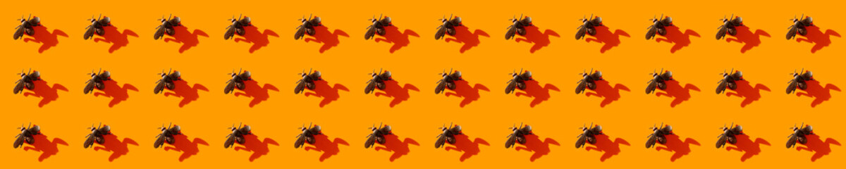 Halloween minimal pattern made of fly and shadow on orange background.