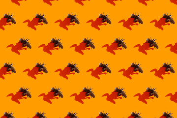 Halloween minimal pattern made of fly and shadow on orange background.