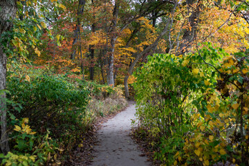 Fototapeta na wymiar Autumn in Starved Rock State Park, a wilderness area on the Illinois River in the U.S. state of Illinois. Back to Nature concept.