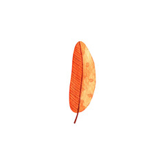 Watercolor autumn leaf. Fall red orange texture leaves
