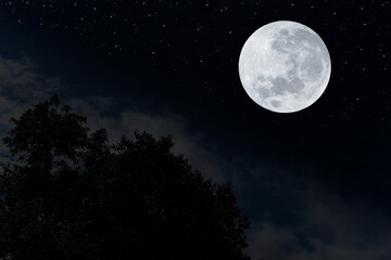 Fototapeta na wymiar Full moon over silhouette trees in the night.