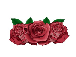 Flower disign of red roses isolated on a white background