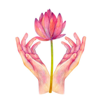 Illustration with hands and lotus hand-drawn in watercolor isolated on white background.
