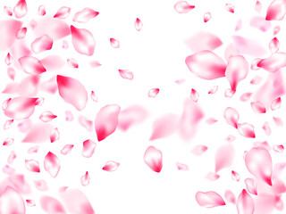 Spring blossom isolated petals flying