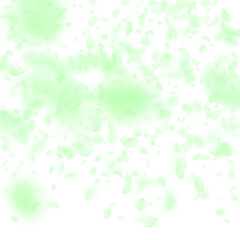 Green flower petals falling down. Positive romanti