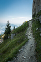 Wanderung zum Berggipfel am Steineberg auf der Nagelfluhkette in den Allgäuer Alpen