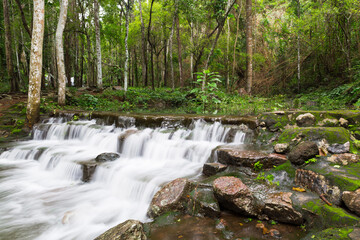 Obraz premium Waterfall in Namtok Samlan National Park. Beautiful nature at Saraburi province Thailand