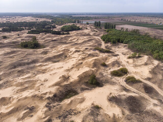 Aerial Drone Shot in The largest desert in Europe, Ukraine - Oleshky Sands with Some bushes and Pine trees. Plants in the desert, a lot of yellow sand