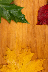 Naklejka na ściany i meble autumn leaves on a light wooden background portrait orientation