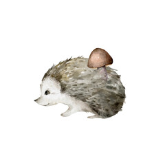 Cartoon little hedgehog with mushroom and leaf on his back Hand drawn watercolor illustration isolated on white background